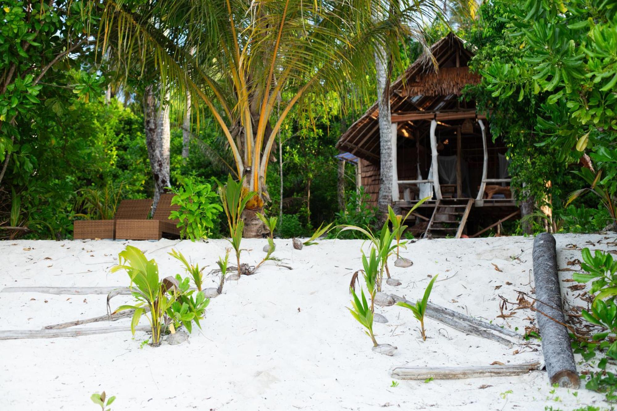 Driftwood At Pinang Island Apartemen